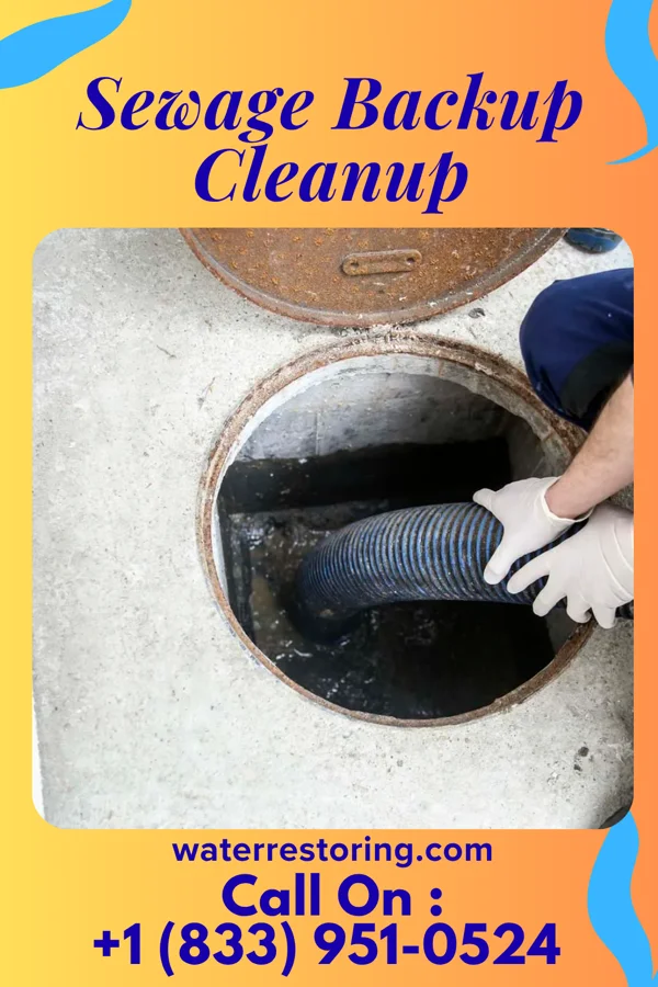 Sewage Backup Cleanup in Fairmount, MD