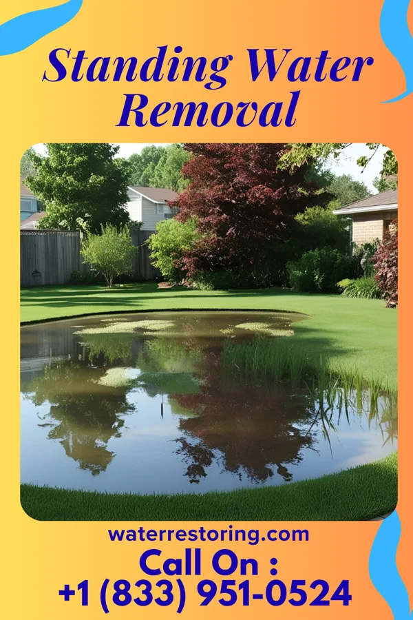 Standing Water Removal in Fairmount, MD